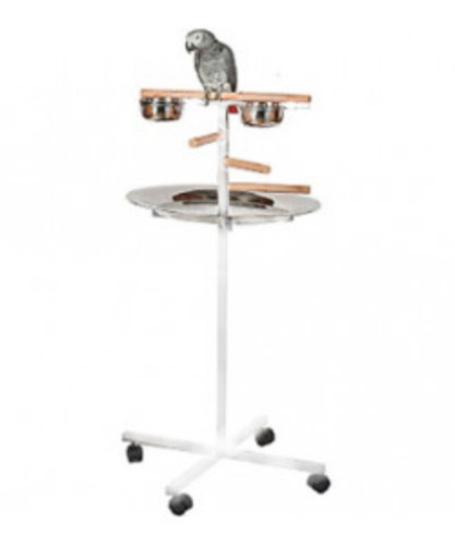 Parrot supplies bar - parrot-supplies, t-bar