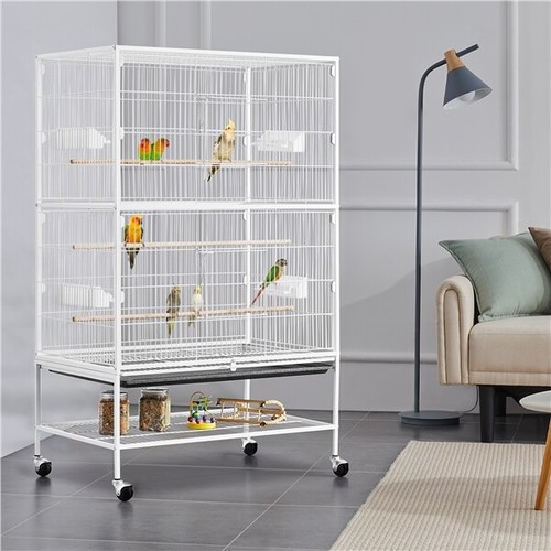 Large parrot bird - parrot, cage