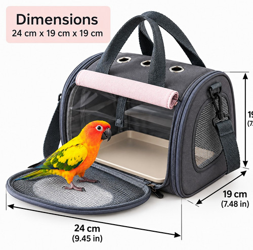 New small bird parrot pet - bird,