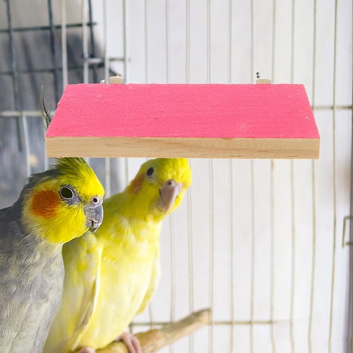 Durable wooden bird - durable, perch