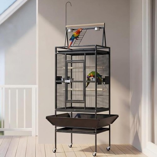 Metal bird cage open - bird, playtop