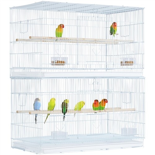 Wide parrot cage flight - flight,
