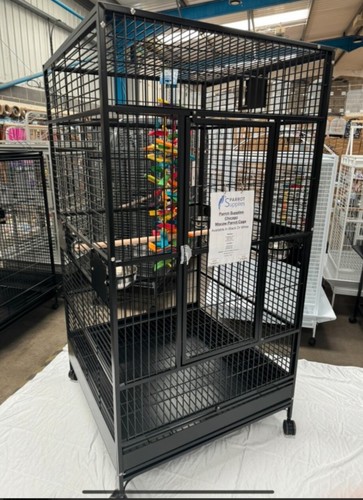 Parrot supplies chicago - parrot-supplies, xl