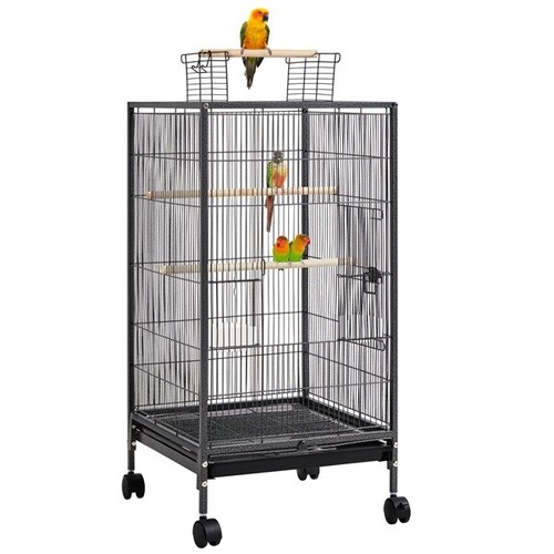 Iron bird cage open top - cage, parrot
