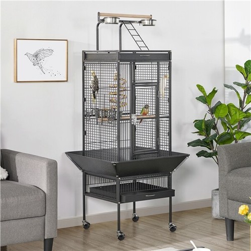 156cm play top parrot - top,