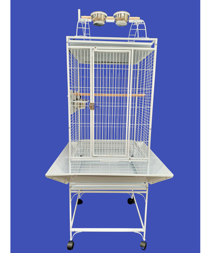 Parrot supplies colorado play - colorado,