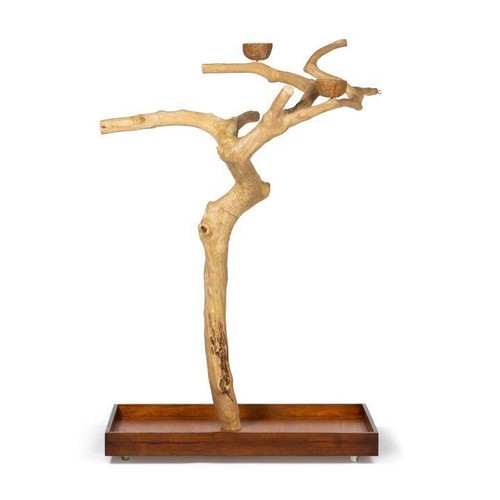Java wood tree large - large,
