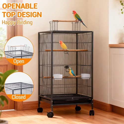Rolling bird parrot - bird, cage