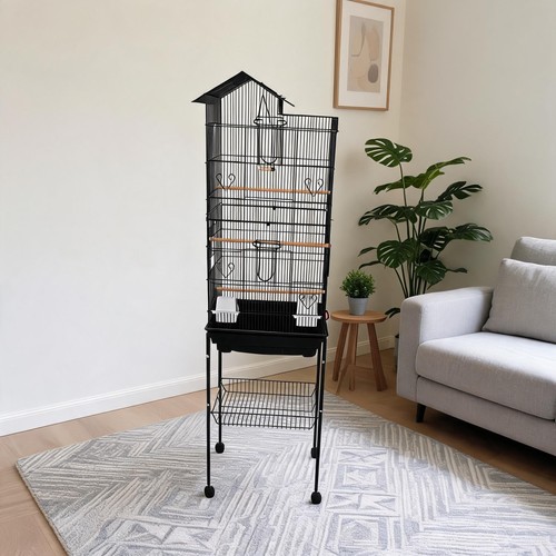 Bird cage parrot open - bird,