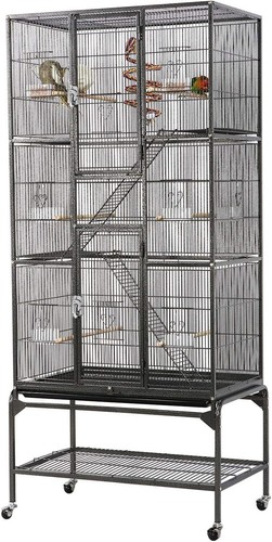Large african grey parrot - large, bird