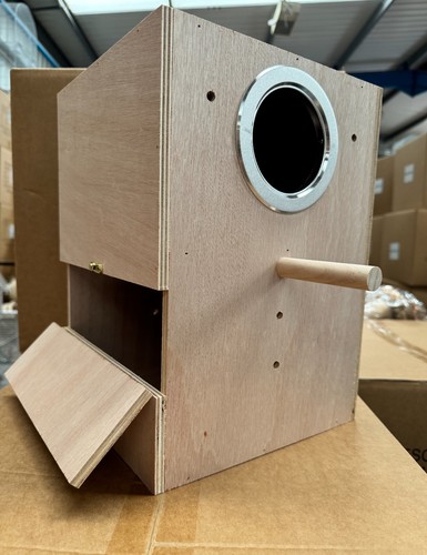 Parrot supplies large parakeet - large,