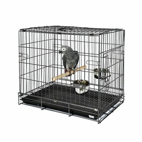 Premium parrot travel carry - premium,