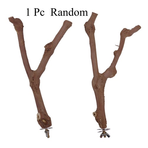 Wooden parrot bird stand tree - wooden,