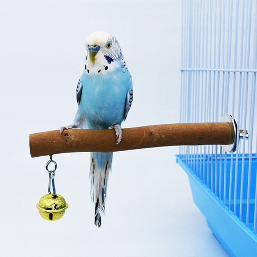Natural wood bird perch stand - bird,