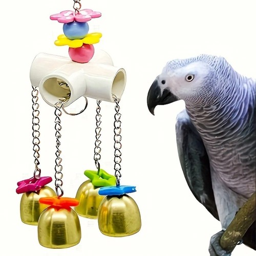 Bird cage biting - bird,