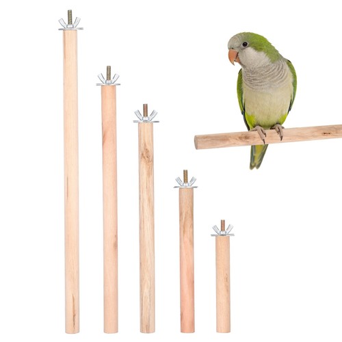 Khaki natural wooden - natural,