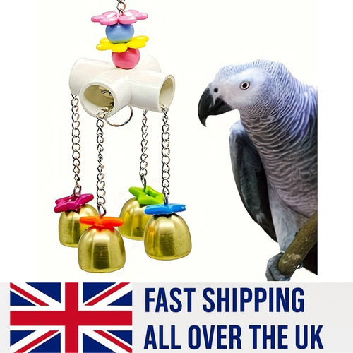 Bird cage biting - cage,