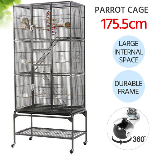 Large bird cage parrots - bird,