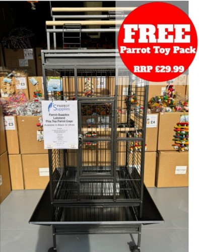 Parrot supplies lakeland play - lakeland,