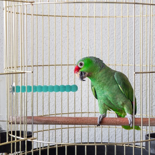 Durable wooden bird stand sky - stand,