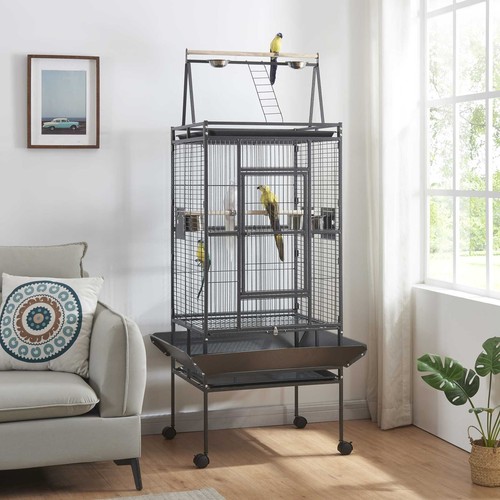 Large bird cages parrot - bird,