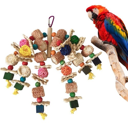 African grey macaws cockatoos - african,