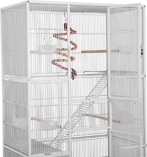 Large african grey parrot bird - african,