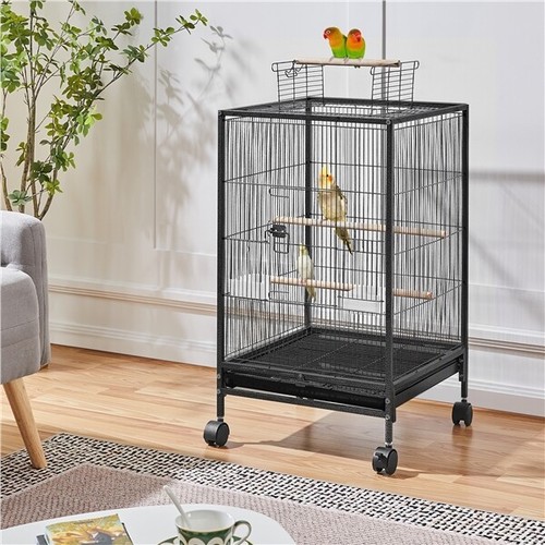Parrot cage open - top, bird