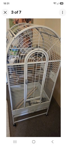 Lazy bones parrot cage - bones,