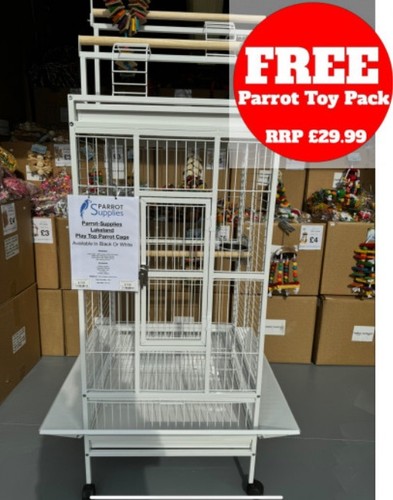 Parrot supplies lakeland play - parrot-supplies,