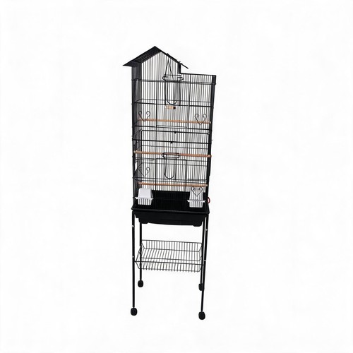 Parrot bird cage with - bird,