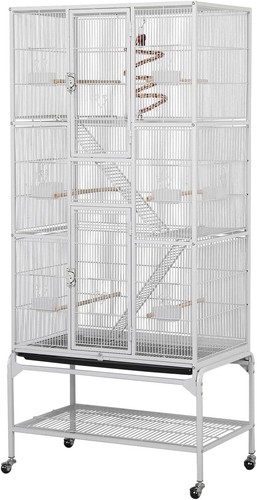 Large african grey parrot - grey,