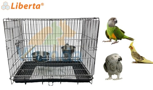 Liberta medium parrot carrying - liberta,