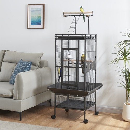 Large bird cage parrot - parrot,