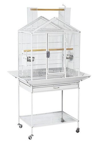 Gemini small bird - gemini,