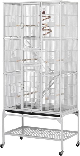 Large african grey parrot bird - large,
