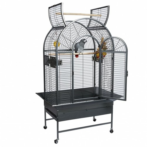 Parrot supplies new jersey - parrot-supplies,
