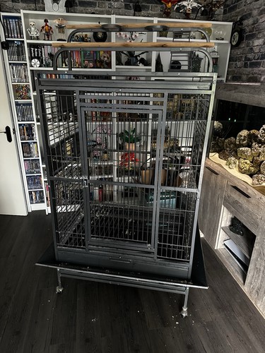 Parrot cage rainforest santos - parrot,