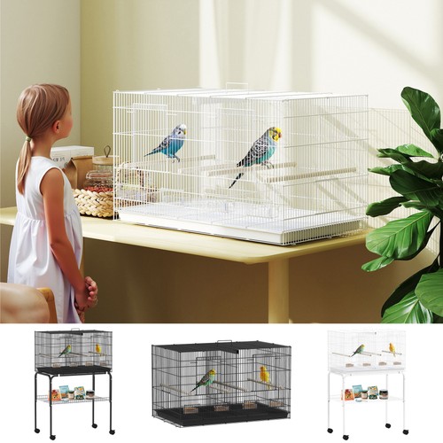 Bird cage parrot - parrot,