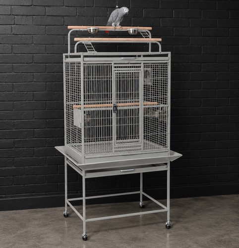 Large dakota stone parrot - dakota, cage