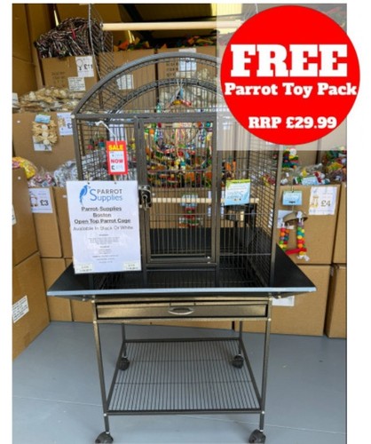 Parrot supplies boston open - parrot-supplies,