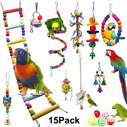 Pack parrot toys set - 15,