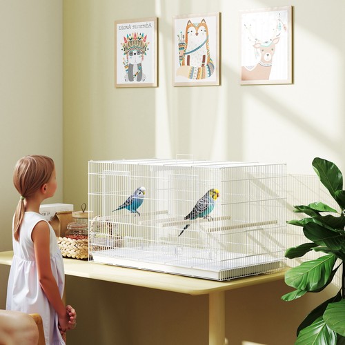 Bird cage parrot - parrot, with