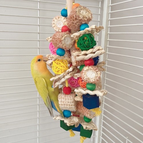 Large parrot chewing toy bird - large,