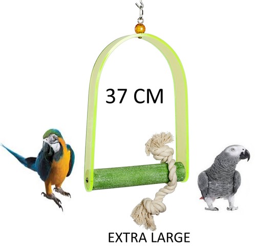 Extra large acrylic - acrylic, parrot