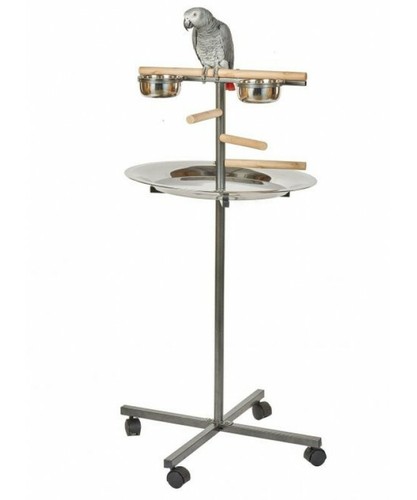 Rainforest parrot bar - rainforest,