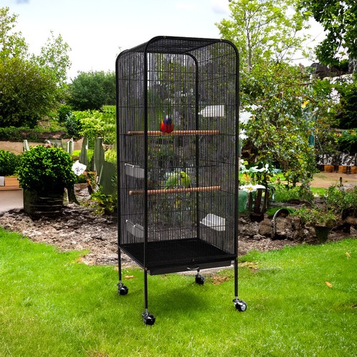Tall bird cage large parrot - bird,