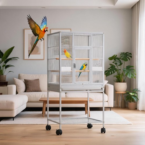Large parrot bird - large, cage